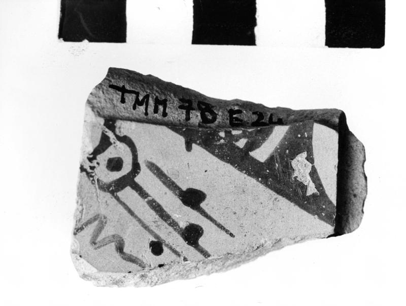 TMM-C010-asf006655.jpg