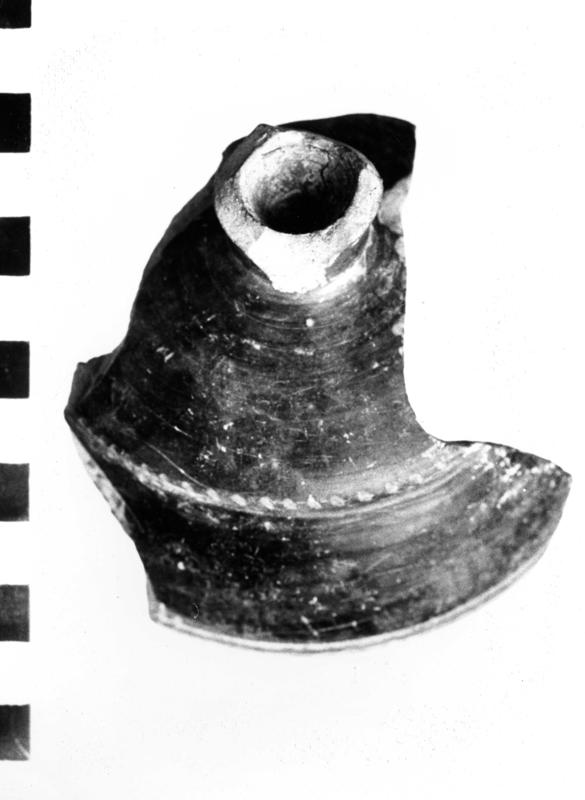 TMM-C012-asf006657.jpg