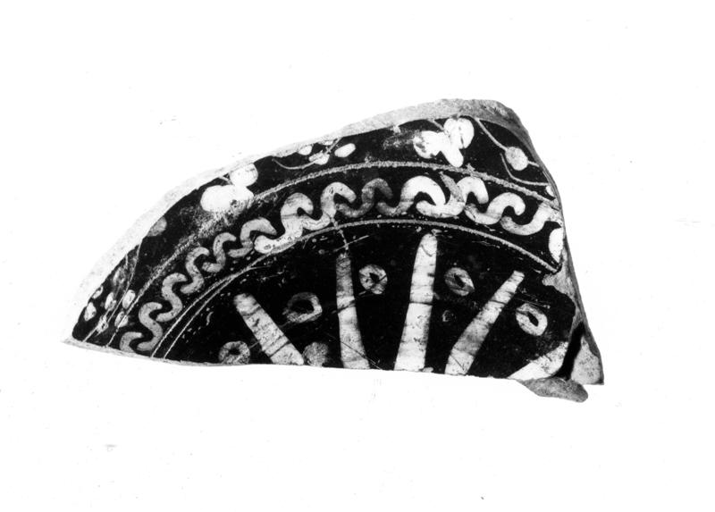 TMM-C017-asf006666.jpg