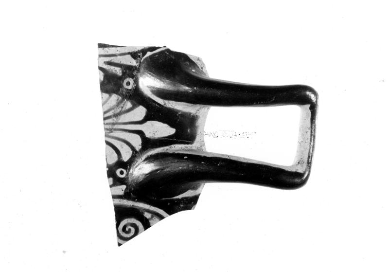 TMM-C019-asf006670.jpg