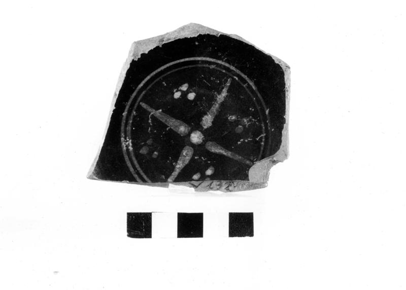 TMM-C020-asf006672.jpg