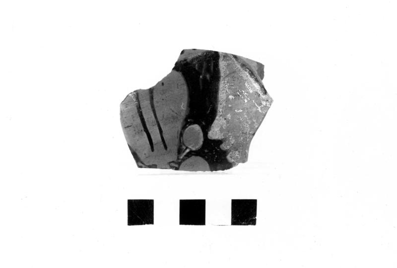 TMM-C021-asf006673.jpg