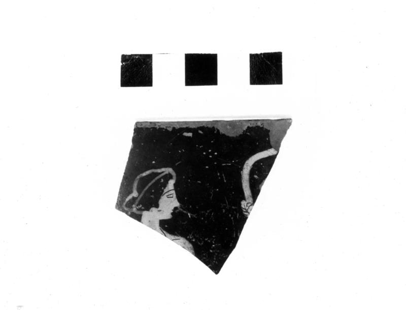 TMM-C021-asf006674.jpg