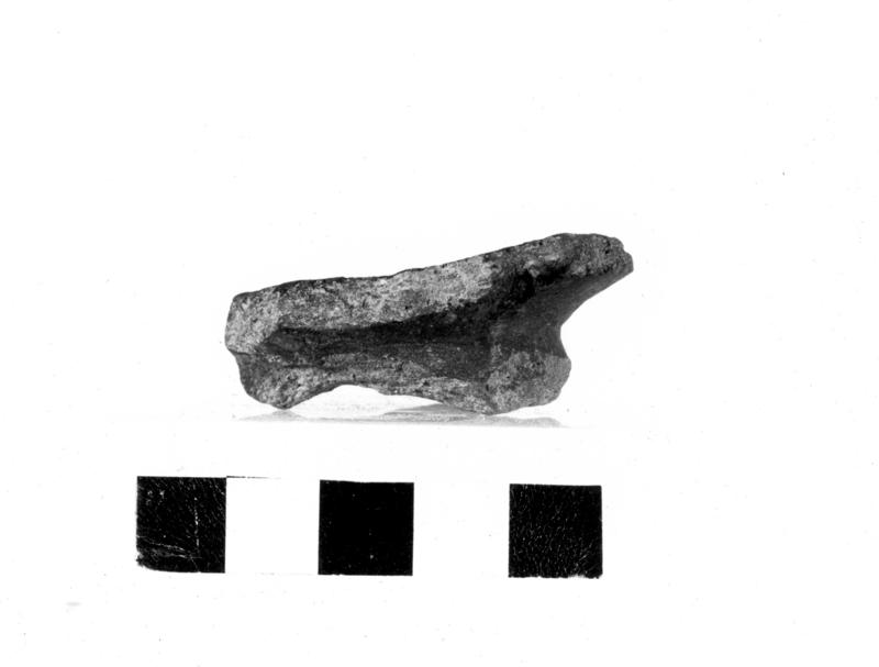 TMM-C023-asf006678.jpg