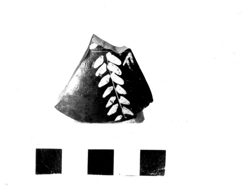 TMM-C024-asf006680.jpg