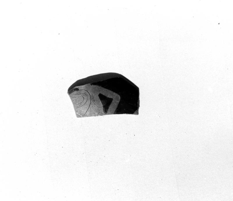 TMM-C027-asf006685.jpg
