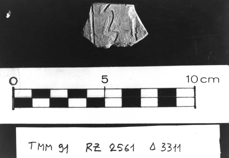 TMM-C029-asf006689.jpg