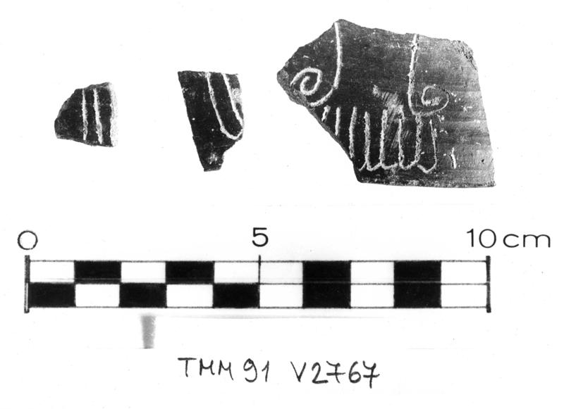TMM-C030-asf006691.jpg