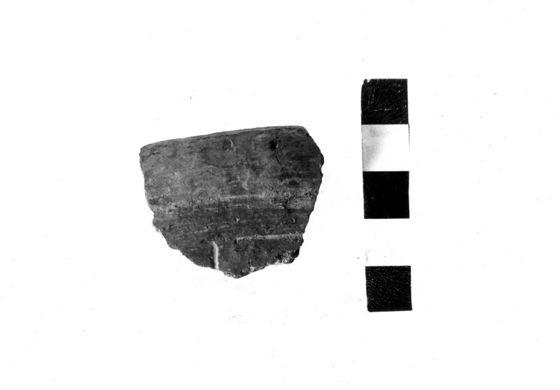 TMM-CI001-asf006697.jpg