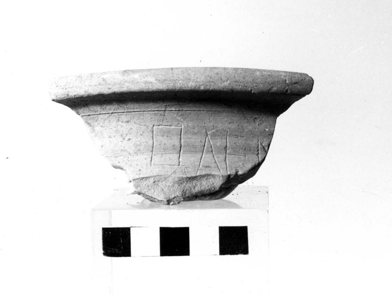 TMM-CI002-asf006700.jpg