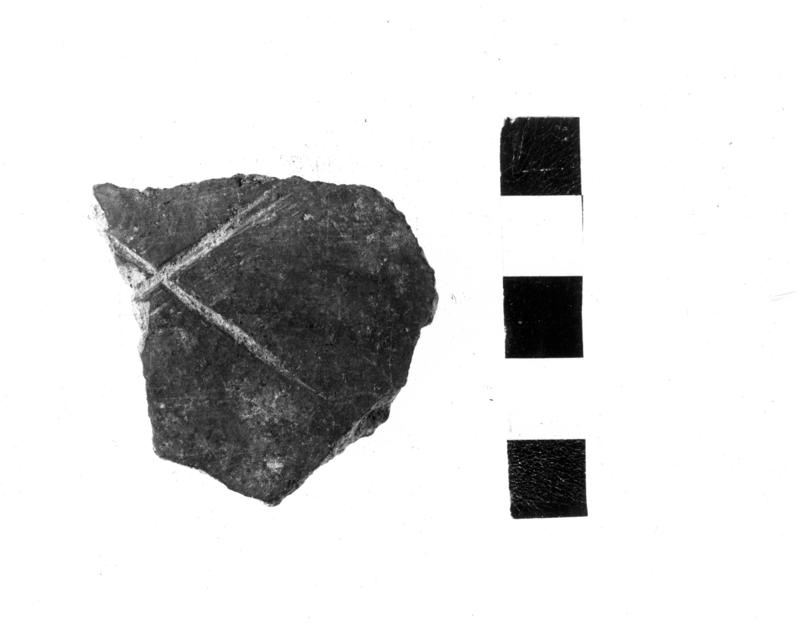 TMM-CI003-asf006702.jpg