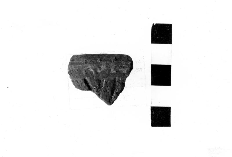 TMM-CI004-asf006704.jpg