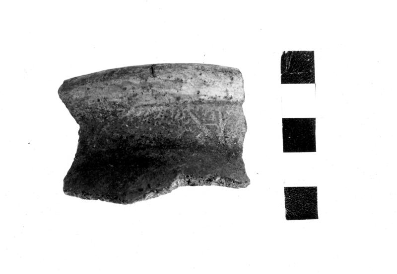 TMM-CI005-asf006706.jpg
