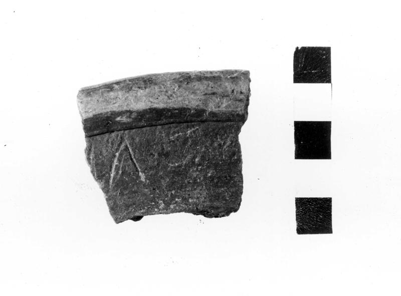 TMM-CI006-asf006708.jpg