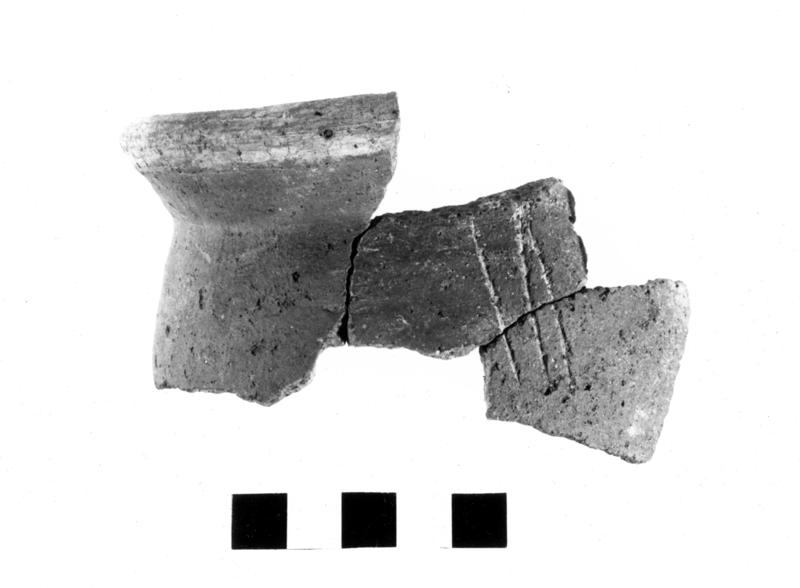 TMM-CI007-asf006710.jpg