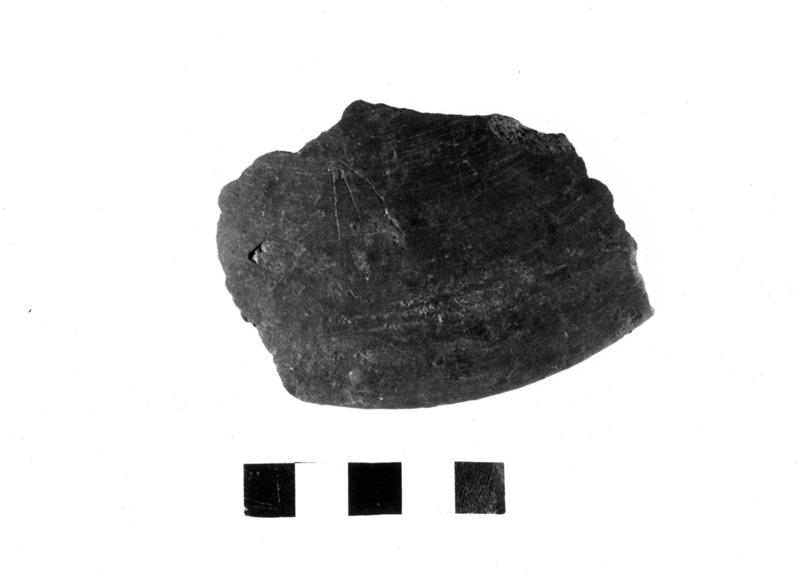 TMM-CI009-asf006714.jpg