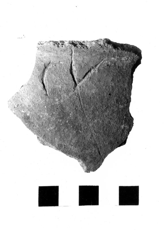 TMM-CI010-asf006716.jpg