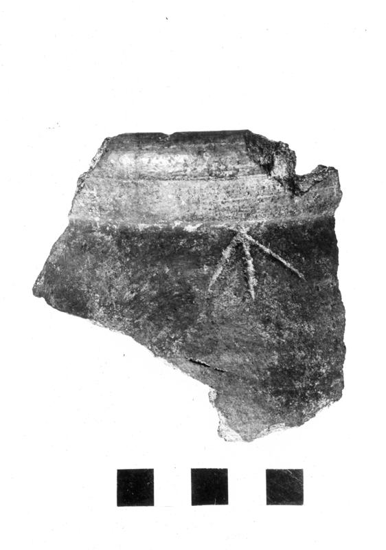 TMM-CI011-asf006718.jpg