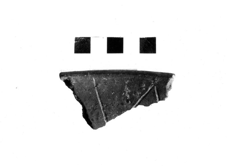 TMM-CI012-asf006720.jpg