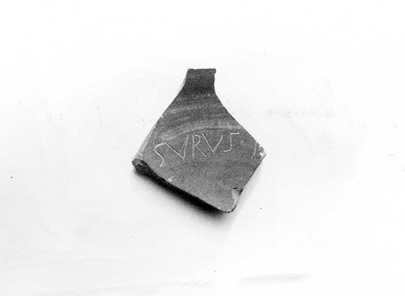 TMM-CI016-asf006728.jpg