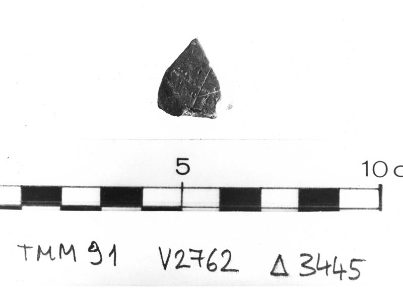 TMM-CI019-asf006733.jpg