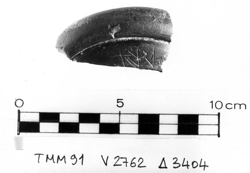 TMM-CI020-asf006735.jpg