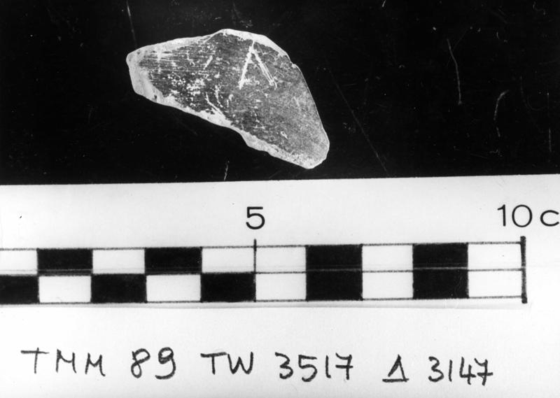 TMM-CI021-asf006737.jpg