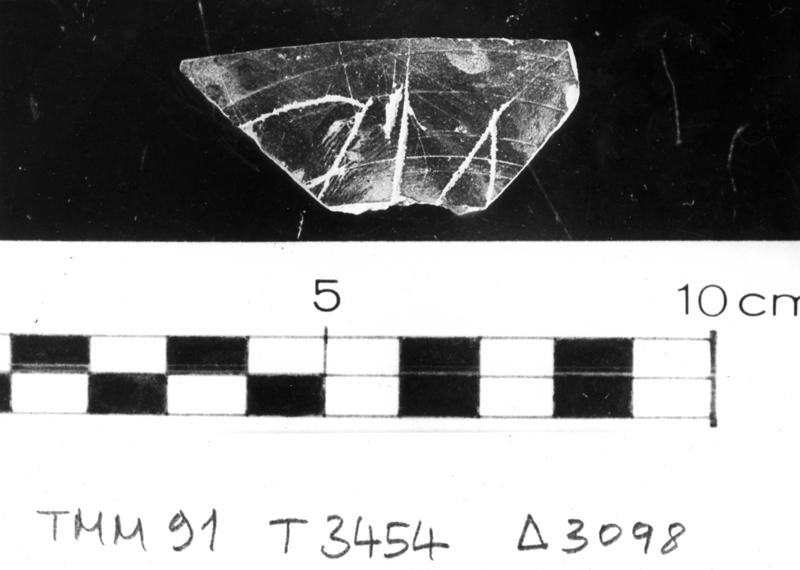 TMM-CI022-asf006739.jpg