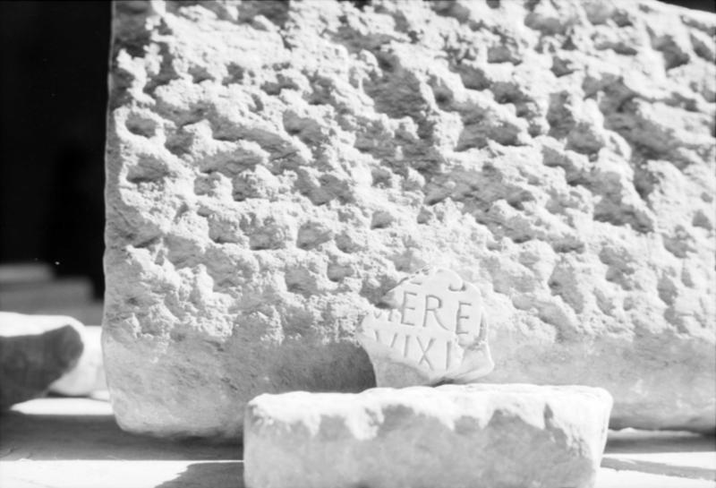 1-00001bis/ [non inventariato] - Roma - Antiquarium Forense (?)