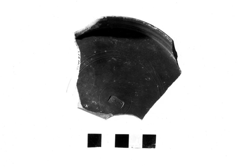 TMM-CI030-asf006755.jpg