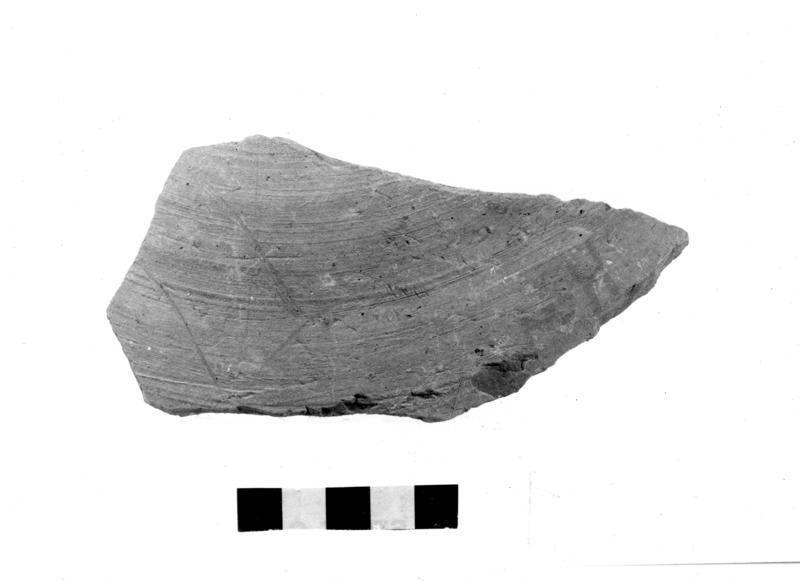 TMM-CI054-asf006757.jpg