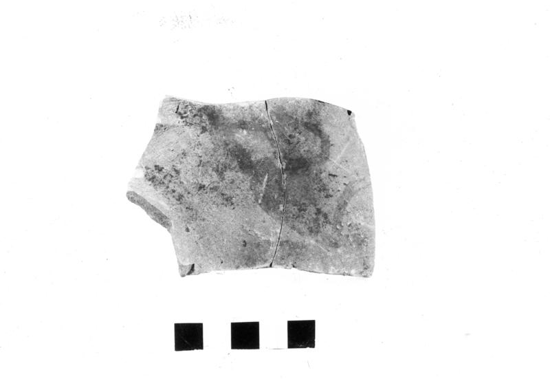 TMM-CI055-asf006759.jpg