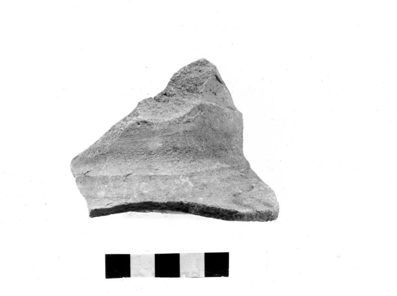 TMM-CI056-asf006761.jpg