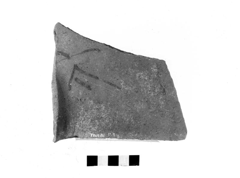 TMM-CI057-asf006763.jpg