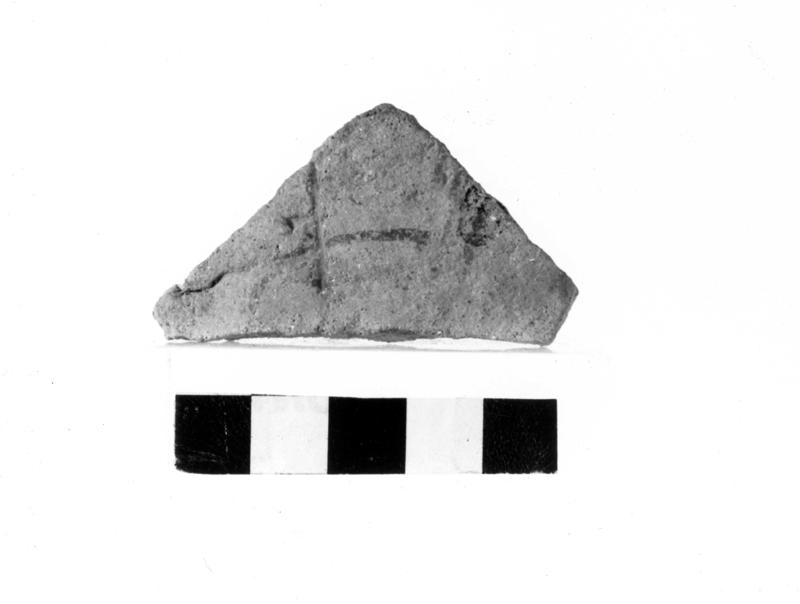 TMM-CI060-asf006769.jpg