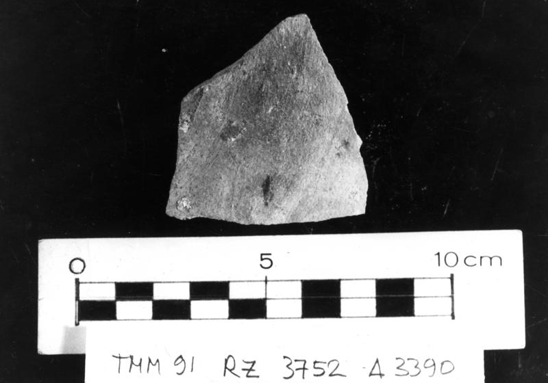 TMM-CI064-asf006777.jpg