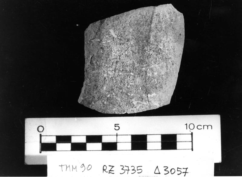 TMM-CI066-asf006781.jpg