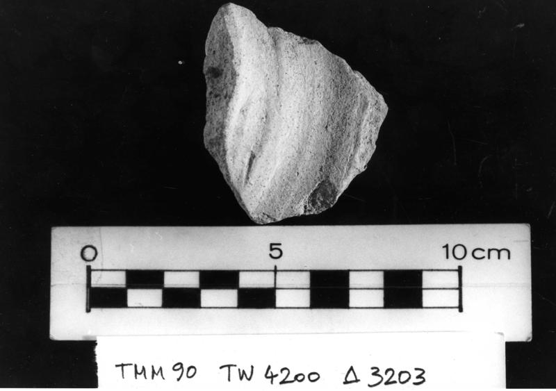 TMM-CI067-asf006783.jpg