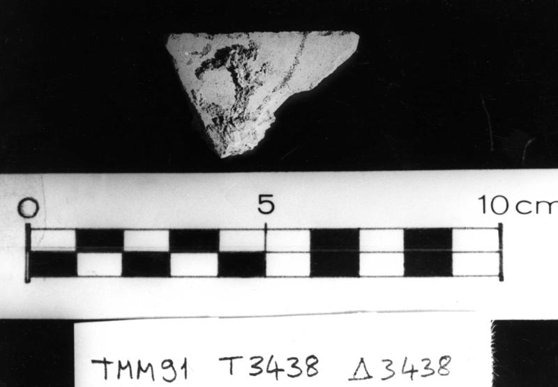 TMM-CI068-asf006785.jpg
