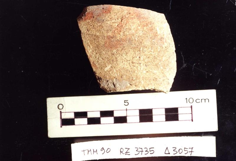 TMM-CI070-asf006789.jpg