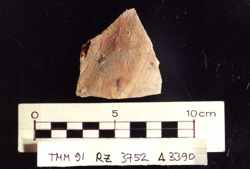 TMM-CI071-asf006794.jpg