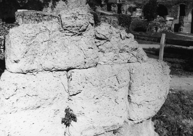 TMM-CA008-asf006803.jpg