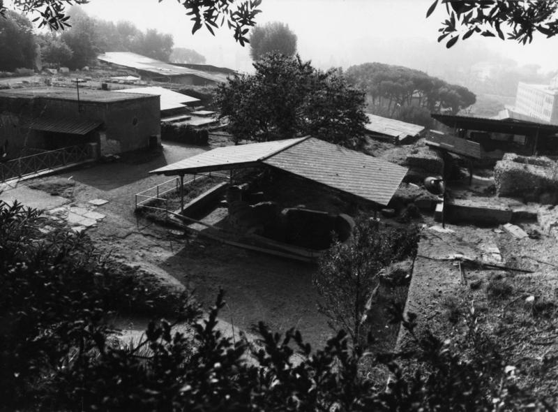 TMM-CA009-asf006804.jpg