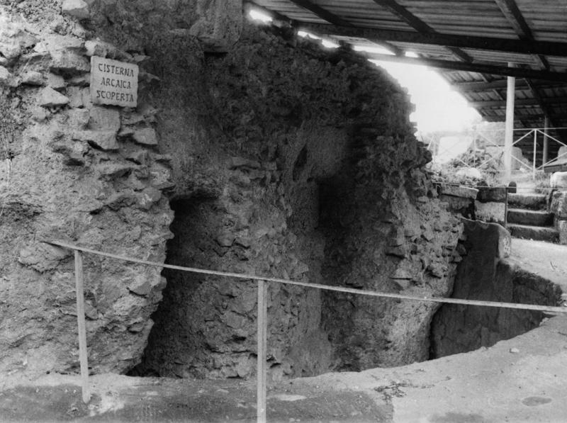 TMM-CA010-asf006805.jpg