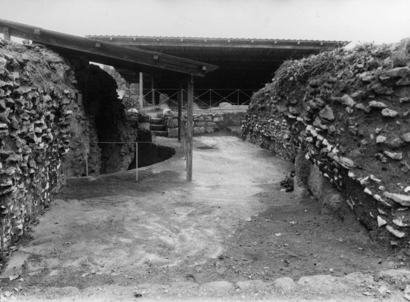 TMM-CA011-asf006806.jpg