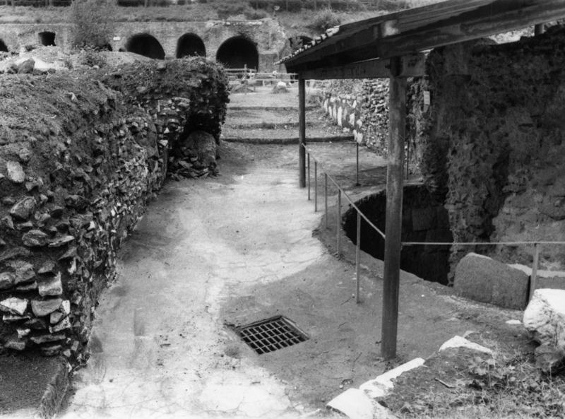 TMM-CA013-asf006808.jpg