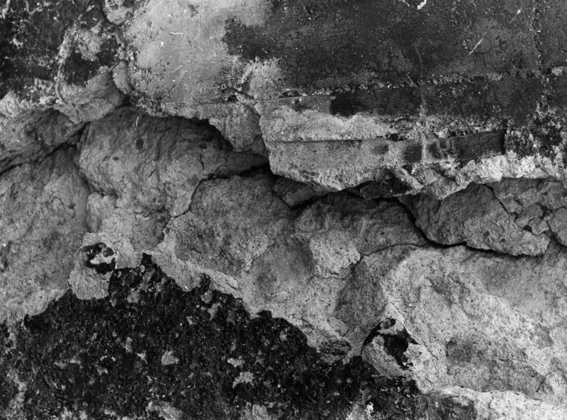 TMM-DT005-asf006819.jpg