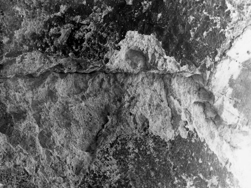 TMM-DT006-asf006820.jpg
