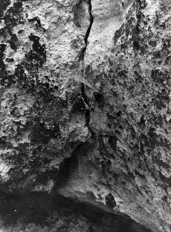 TMM-DT008-asf006822.jpg
