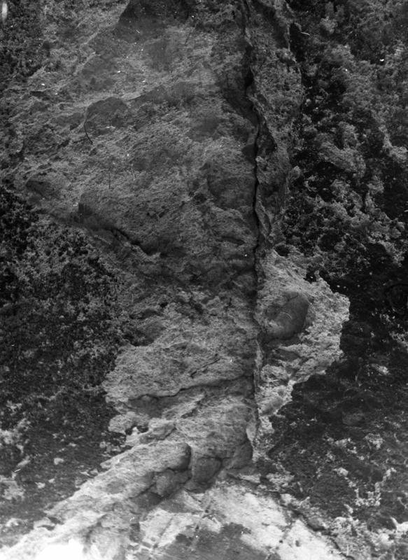 TMM-DT009-asf006823.jpg